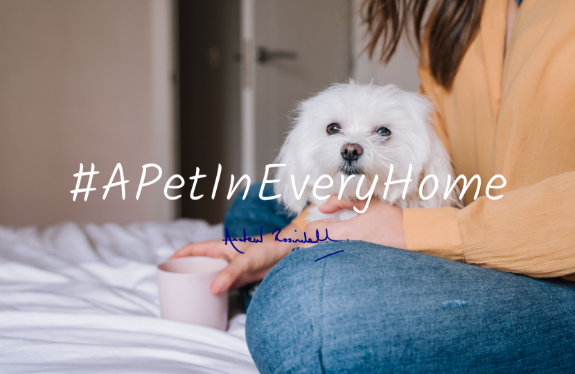 A Pet In Every Home 1