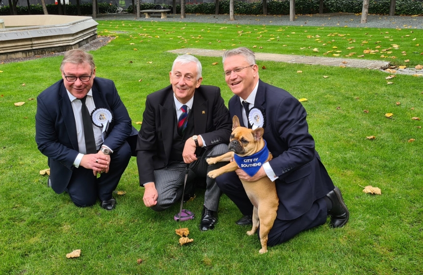 Westminster Dog of the Year