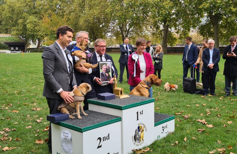 Westminster Dog of the Year