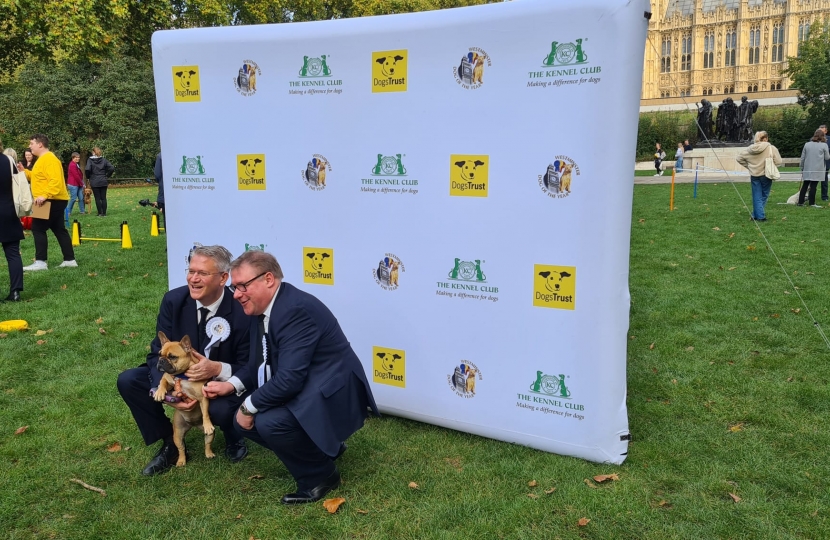 Westminster Dog of the Year