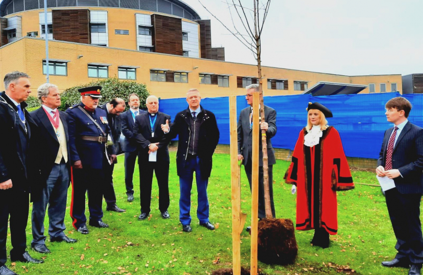 Covid memorial tree 