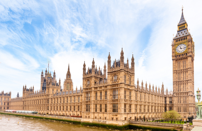 The Houses of Parliament