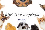 A Pet In Every Home