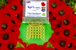 Remembrance Sunday wreath