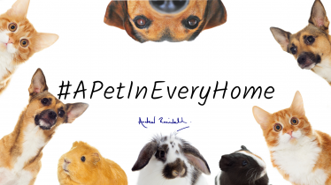 A Pet In Every Home