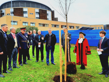 Covid memorial tree 