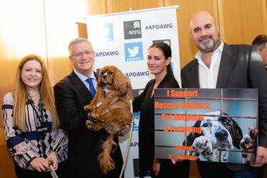 All-Party Parliamentary Dog Advisory Welfare Group 